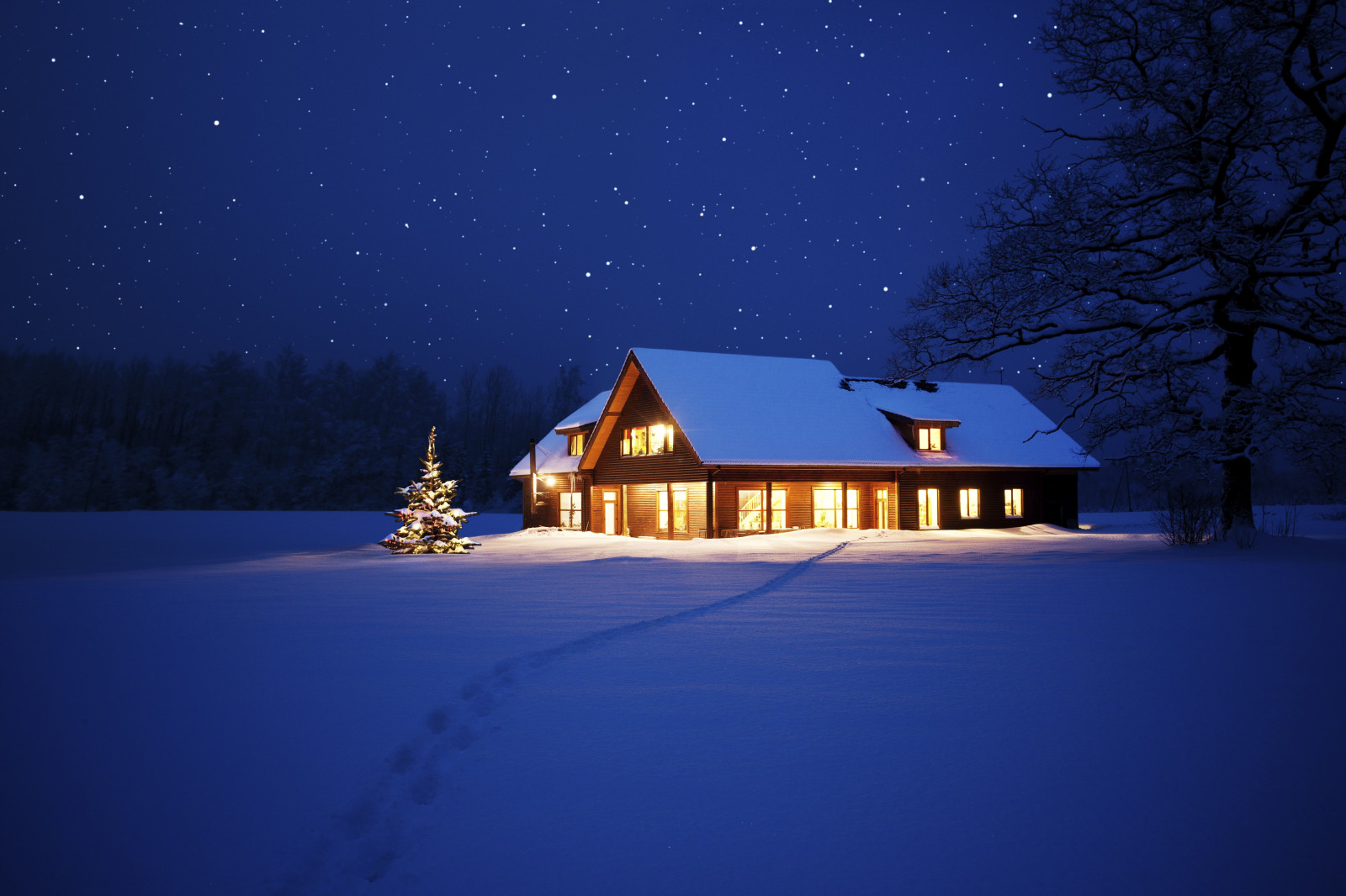 paisaje, noche, cielo, nieve, invierno, estrellas, noche, luz de la luna, atmósfera, oscuridad, luces de Navidad, ligero, clima, temporada, estrella, Decoración navideña