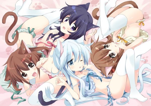 ilustrare,anime,fete anime,păr alb,Fata pisică,urechi de animale