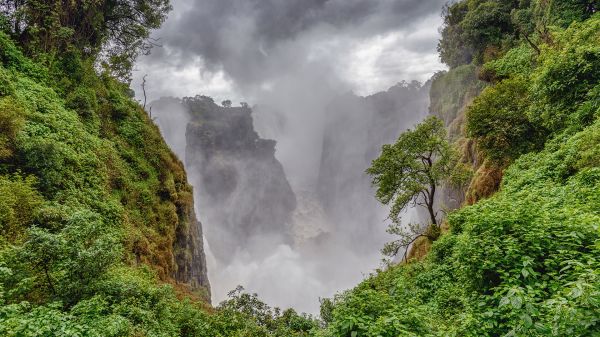 hutan,pegunungan,pohon,lembah,awan-awan,Victoria Falls