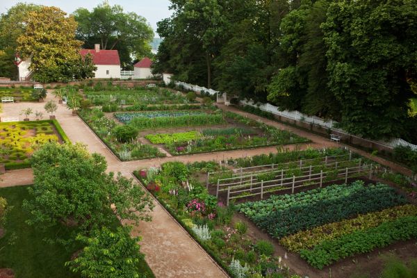 ferme,Farm House,des arbres,en plein air,Allemagne,maison