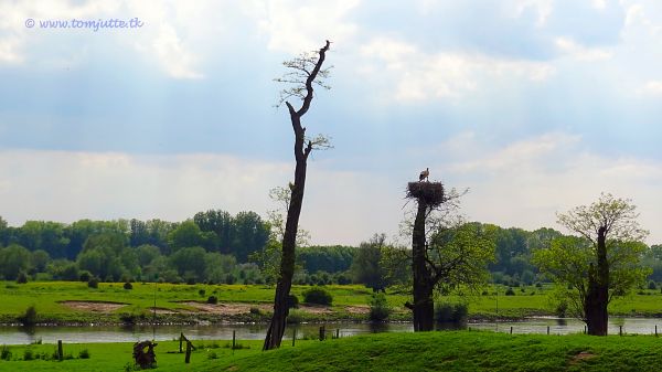 seyahat, Güneş, Hollanda, doğa, Hollanda, Flemenkçe