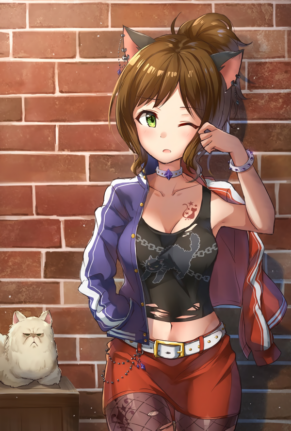 Anime,Chicas anime,Maekawa Miku,THE email protected Cinderella Girls,THE email protected,gato