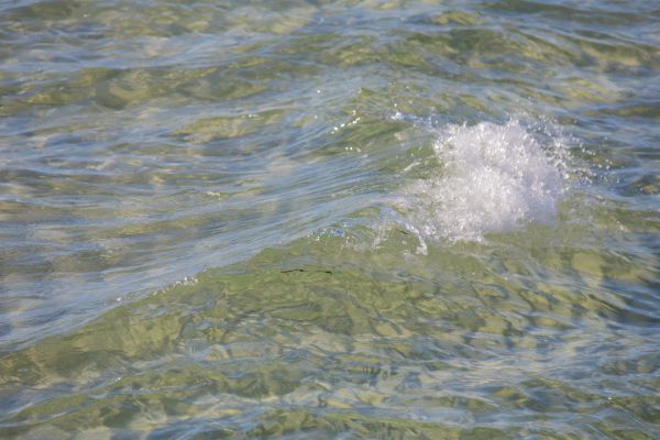 海,水,海岸,砂,海岸,風