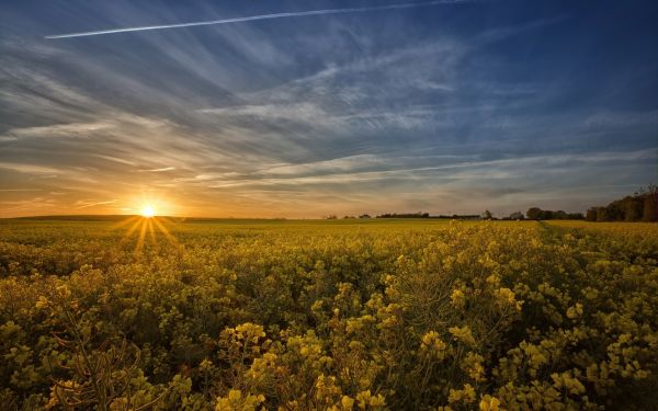 sollys, landskap, solnedgang, høyde, natur, himmel