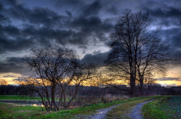 luce del sole,paesaggio,foresta,autunno,tramonto,collina