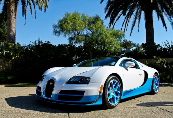 voiture,véhicule,bleu,palmiers,voiture de sport,Bugatti