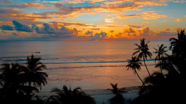 Hoàng hôn,Đám mây,cây cọ,phong cảnh,Carribean