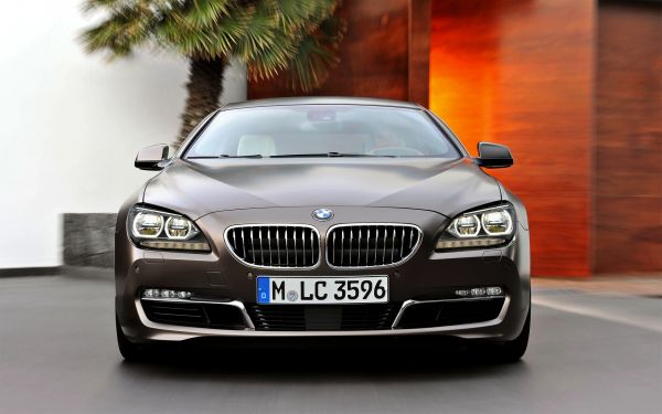 samochód,BMW,BMW 6,pojazd,samochód sportowy,Krata