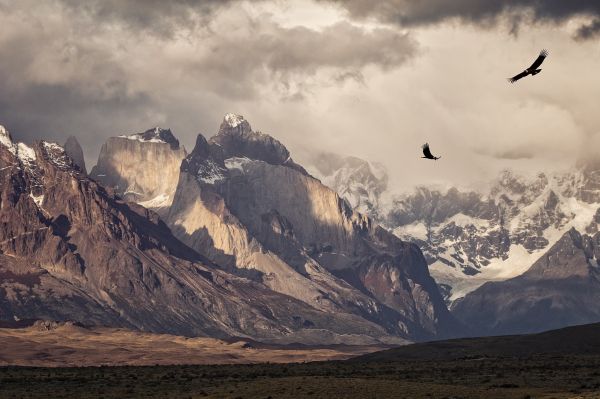 Chile,paisaje,2048x1365 px,aves,Cóndores,volador