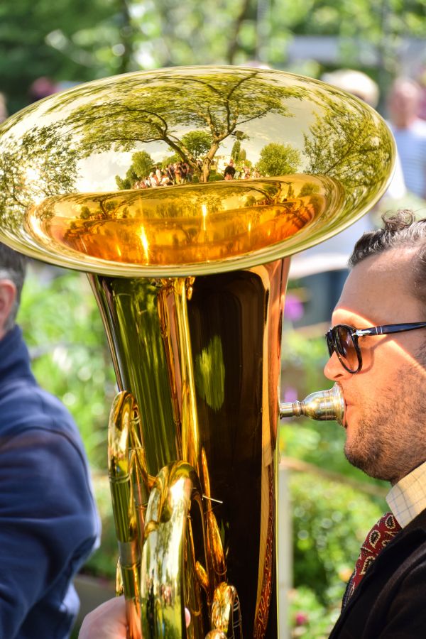 réflexion,parc,du vin,jaune,boisson,musicien