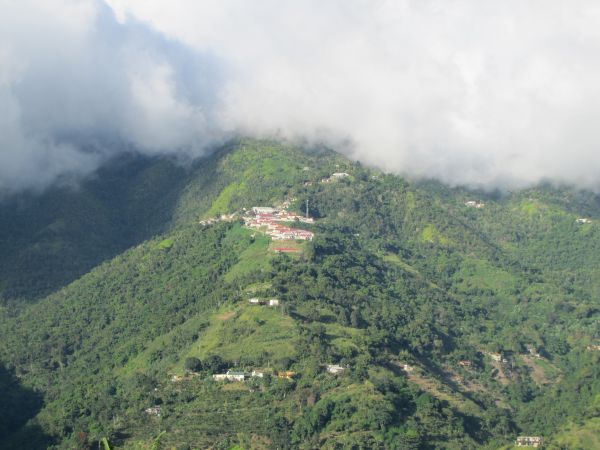 hutan, bukit, awan-awan, pegunungan Alpen, hutan hujan, dataran