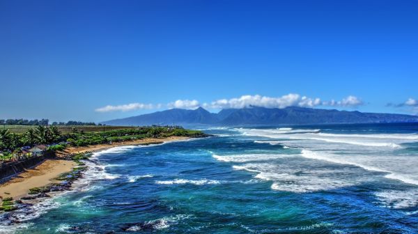 Vattenfall,hav,bukt,strand,strand,kust