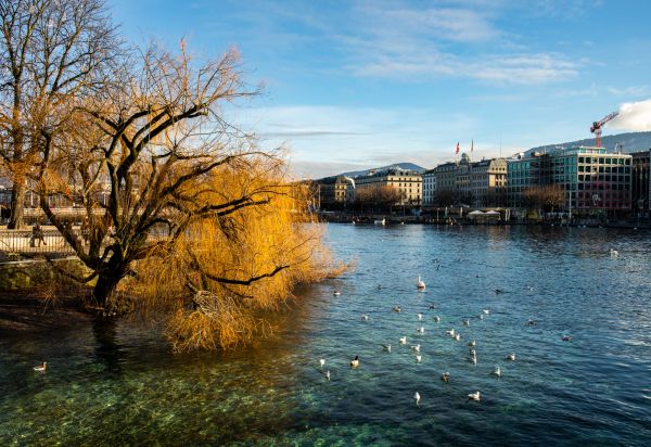 la photographie,en plein air,des arbres,Lac,Urbain,ville