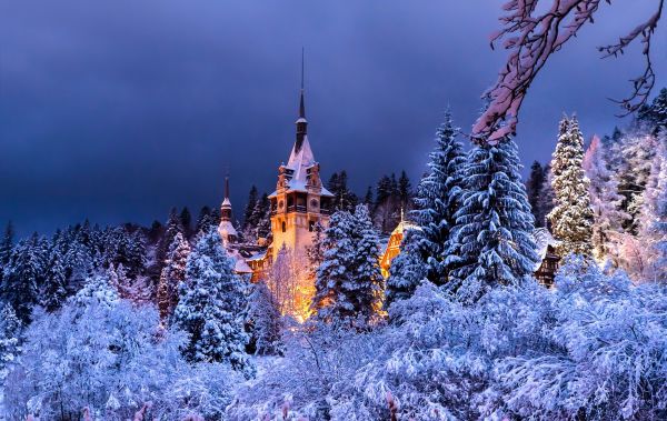 paesaggio,natura,cielo,notte,la neve,inverno