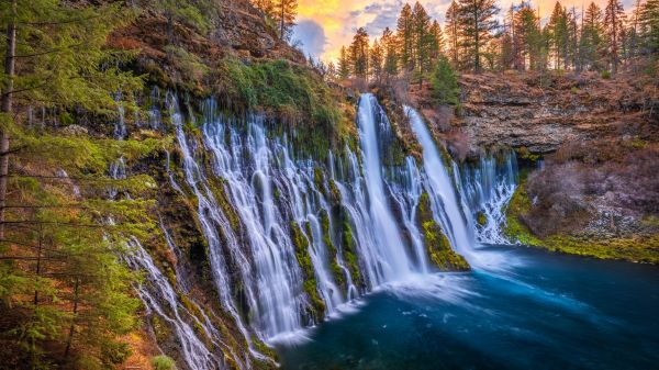 thiên nhiên,Hoa Kỳ,California,cây,Thác nước,rêu