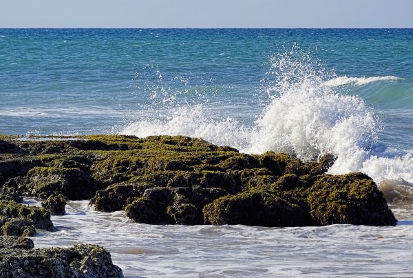 sea, ocean, travel, blue, color, green