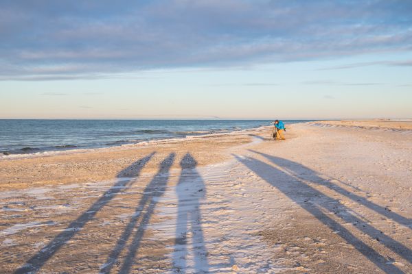 海, 海岸, 砂, 雪, 冬, 影