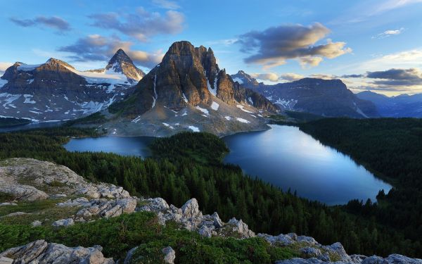 paysage, forêt, Montagnes, Lac, Roche, des arbres