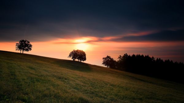 zonlicht,zonsondergang,bomen,landschap,heuvel,natuur