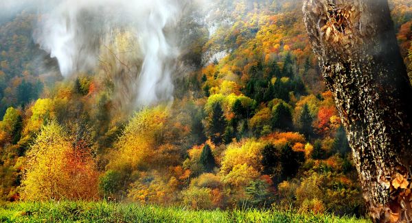 montagne, Massif, Bauges, fjell, automne, charme