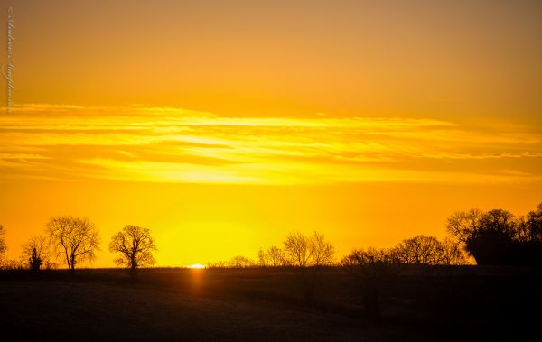 solljus,solnedgång,500px,himmel,fält,soluppgång