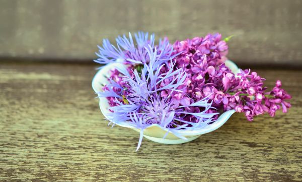 矢车菊,紫丁香,花卉,装饰