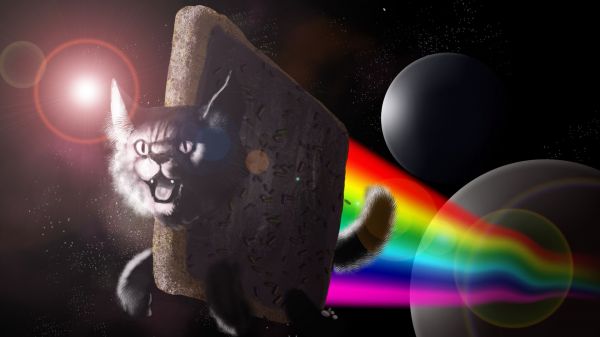 illustration,espace,Nyan Cat,univers,Couleur,obscurité