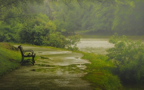 krajina,les,kopec,jezero,voda,Příroda