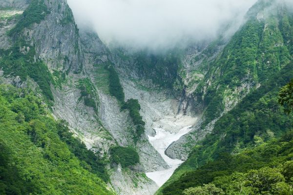 pemandangan, hutan, pegunungan, Jepang, pohon, air terjun