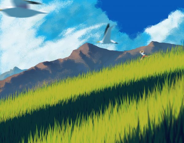 field,landscape,birds,running,Sky game,clouds