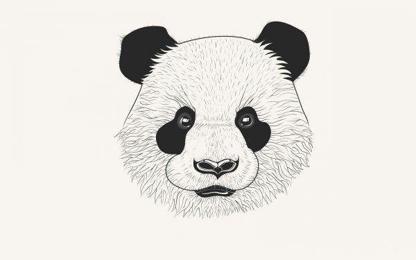 panda, bear, drawing, illustration, cartoon, ART