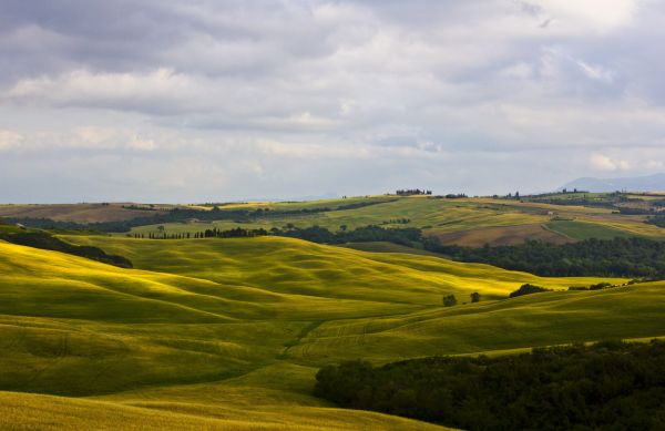 Alanlar,İtalya,Toskana,doğa,Montcalcino