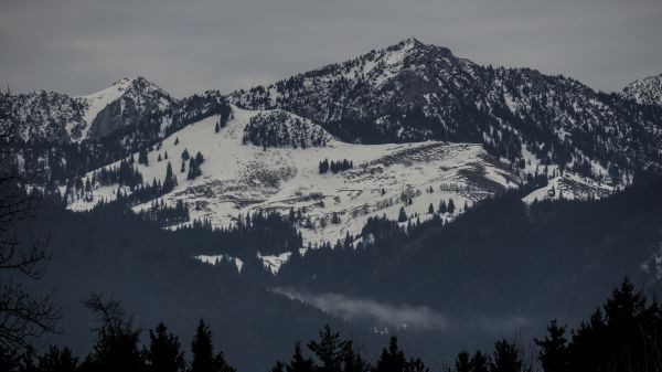 cielo,nube,montaña,árbol,nieve,cuesta abajo