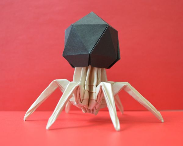 capsule,paper,origami,bacteria,virus,t2