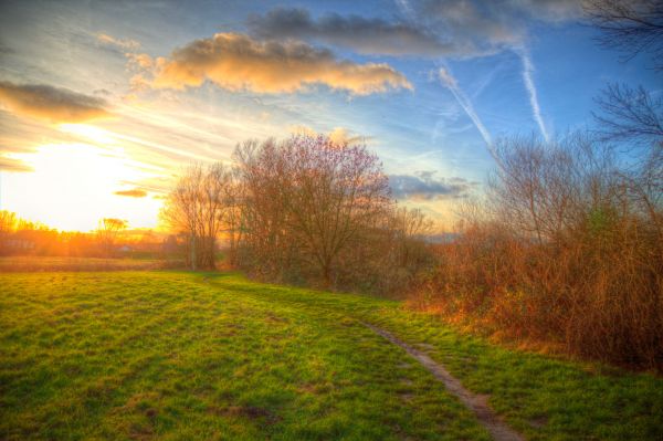 winter,licht,zonsondergang,hemel,Zon,kleur