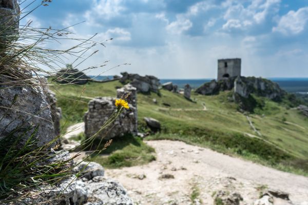 Flower Vocaloid, landscape, olsztyn, ruins, castle, Poland