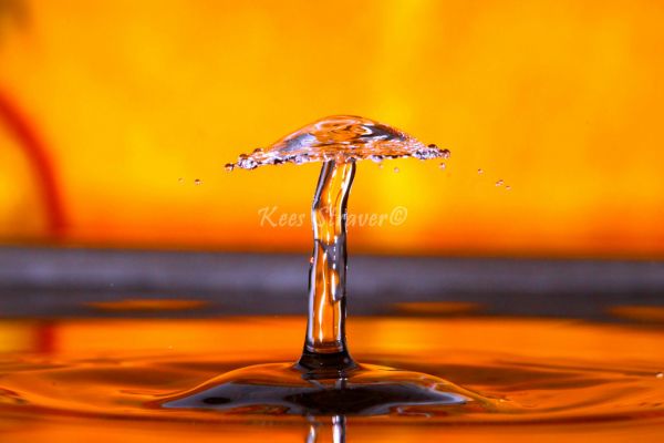 oranje,macro,water,druppels,interessant,uniek