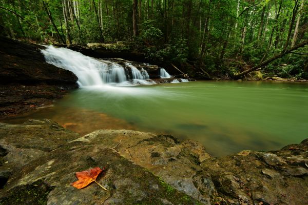 Landschaft, Wasserfall, Bäume, Wald, fallen, Berge