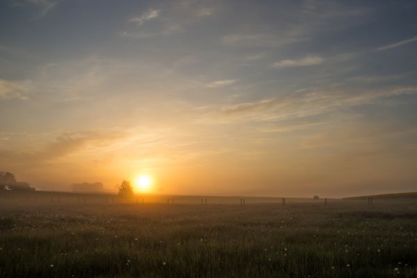 sunlight,landscape,sunset,hill,sky,field