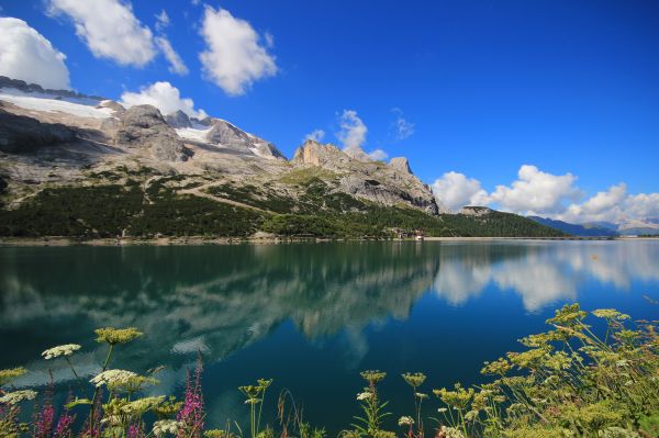 meer, bergen, prachtig landschap, lago fedaia, Italië, planten