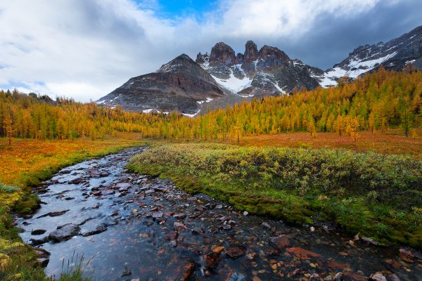 montañas,Hermoso paisaje,Piedras,Árboles,otoño