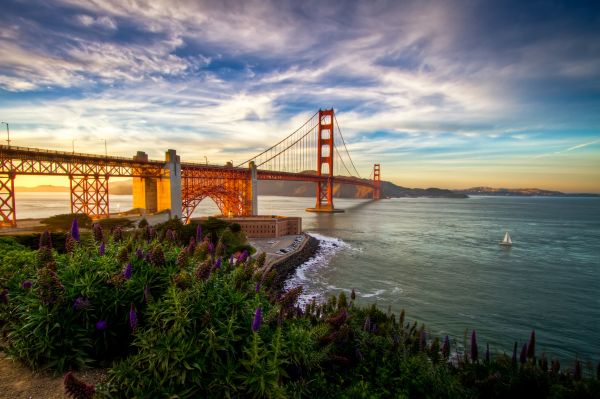 l'oceano Pacifico,California,San Francisco,Stati Uniti d'America,barca a vela,fiori