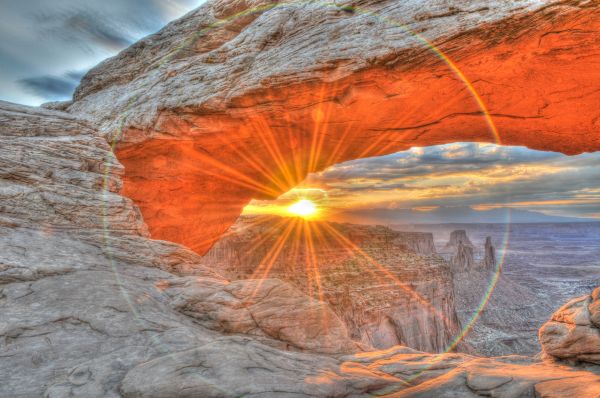 blu,tramonto,rosso,fiori,addormentato,Arizona