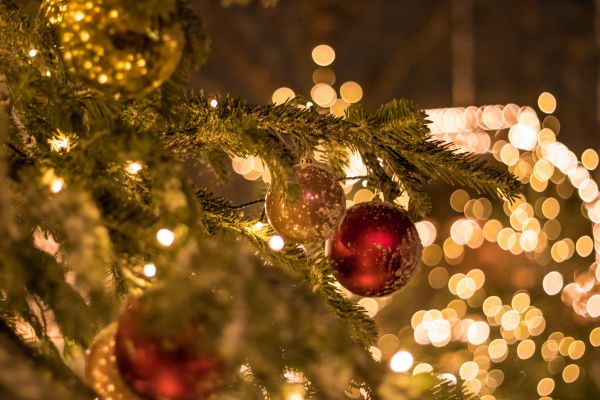 notte,ramo,Albero di Natale,Natale,bokeh,vacanza