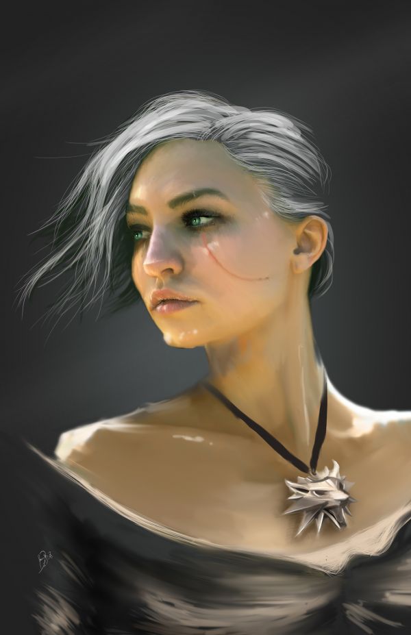 Personagens de videogame, Video Game Art, arte digital, O Mago, A caça selvagem de Witcher 3, olhos verdes