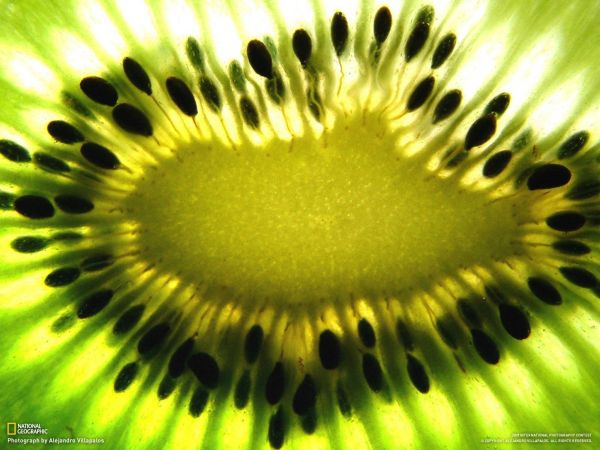 1600x1200 px,National Geographic,Frucht,Kiwi,Makro,Saat