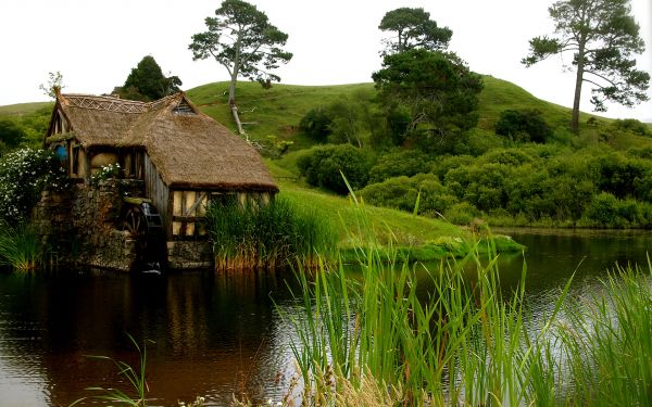 1920x1200 px,Flores,Edifícios,grama,Colina,casa