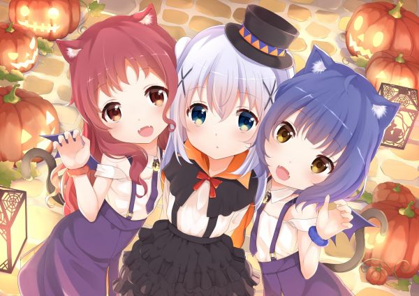 Anime,Filles anime,Gochuumon wa Usagi Desu ka,Kafuu Chino,Natsu Mégumi,fille chat