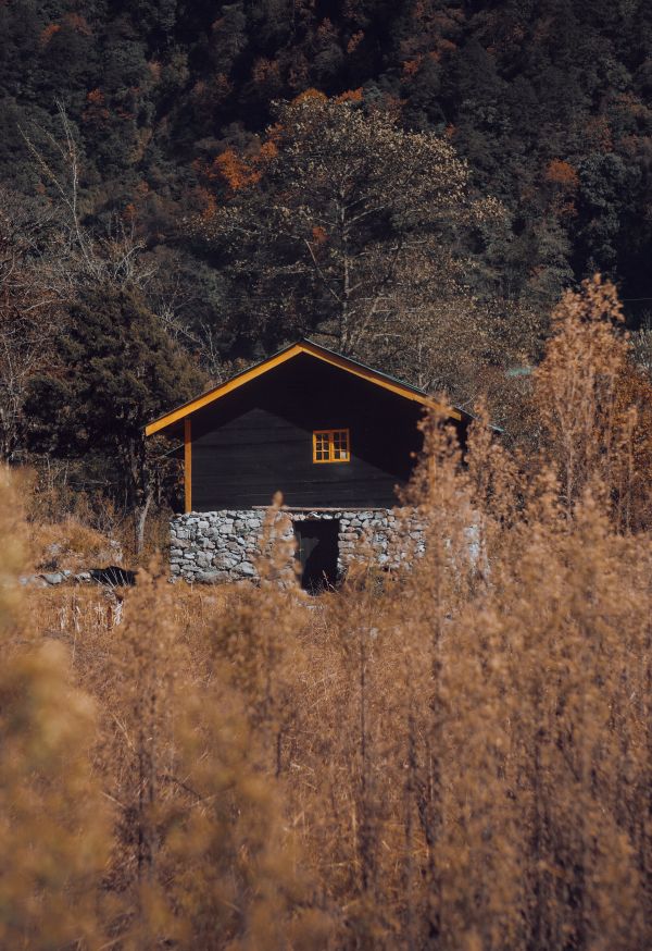 la nature,ferme,paix,Cinématique