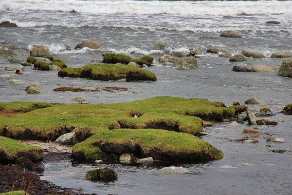 landscape,sea,bay,water,rock,nature